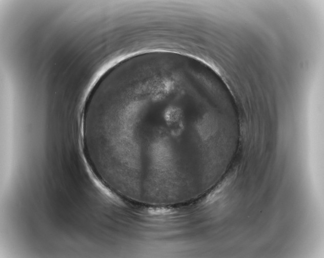 X0000087061515200705021206