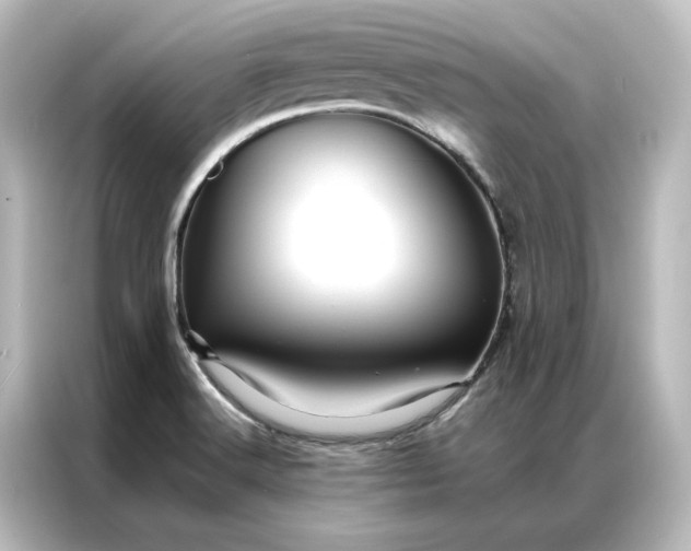 X0000087061516200705021206