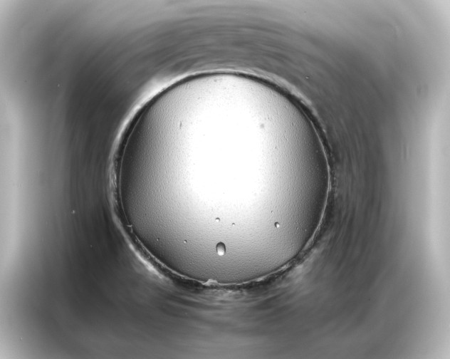 X0000087061517200705021206