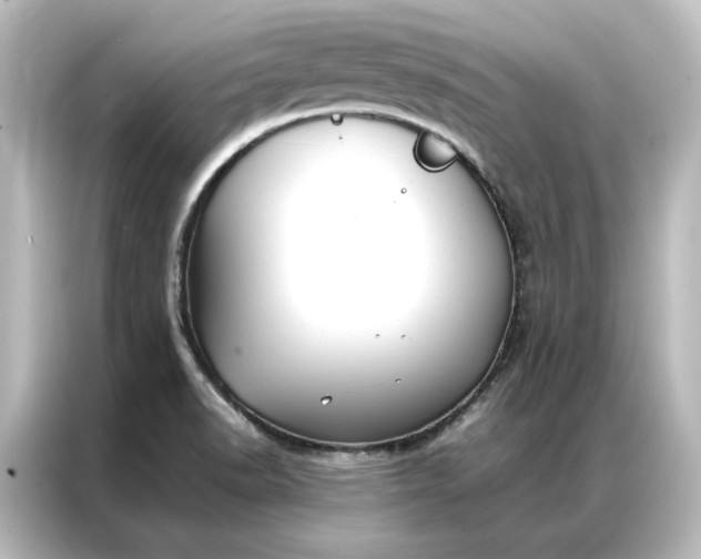 X0000087061518200705021206