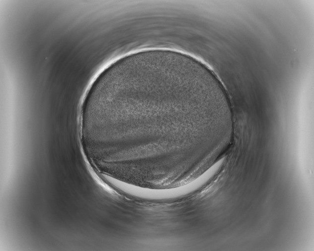 X0000087061519200705021206