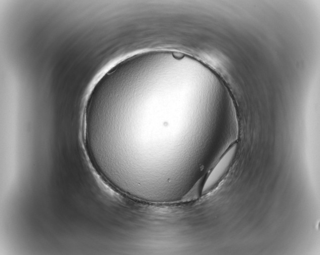 X0000087061520200705021206