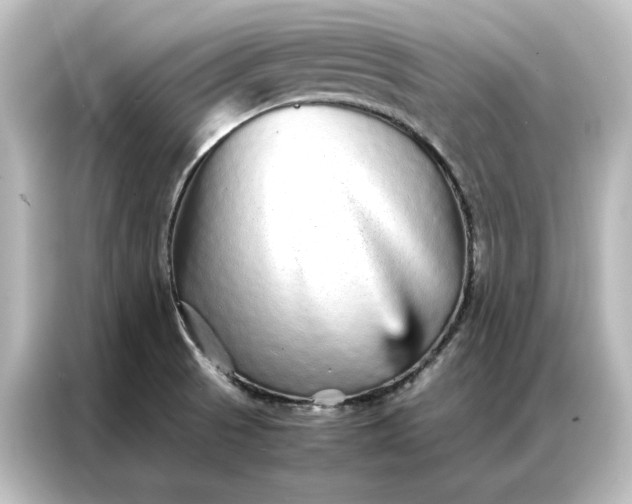 X0000087061521200705021206