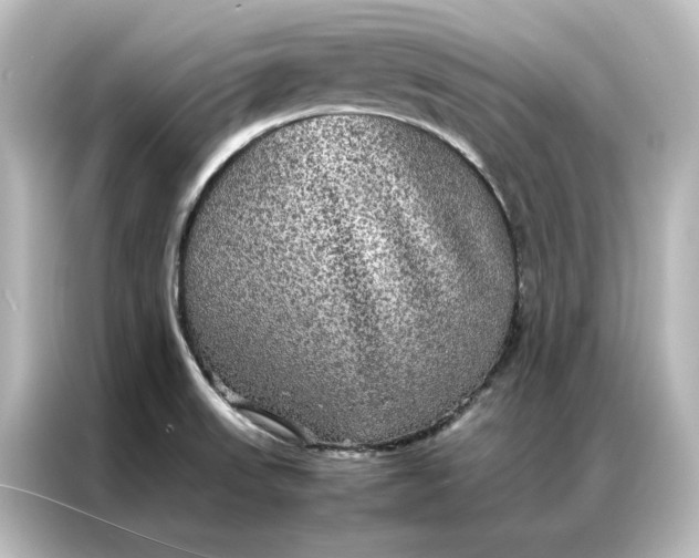 X0000087061523200705021206