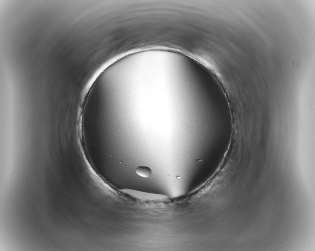 X0000087061524200705021206