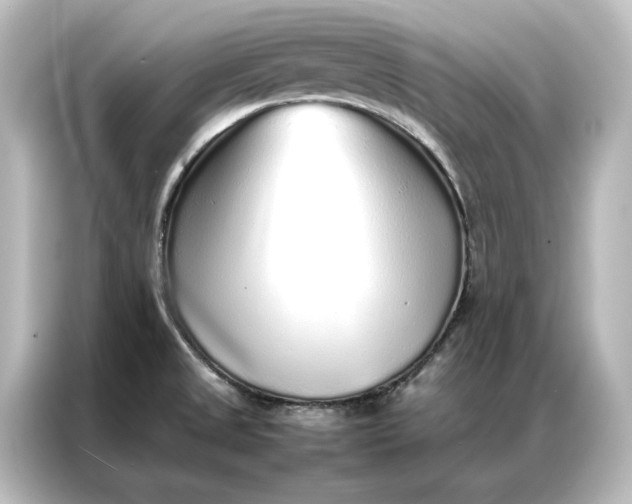 X0000087061525200705021206