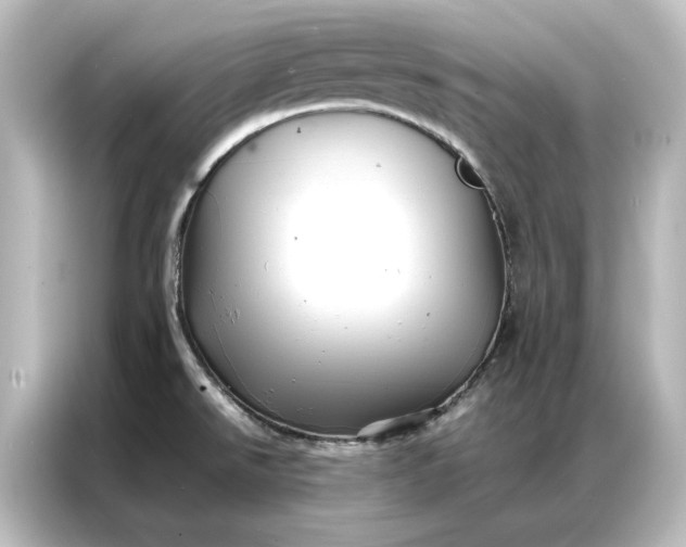 X0000087061526200705021206