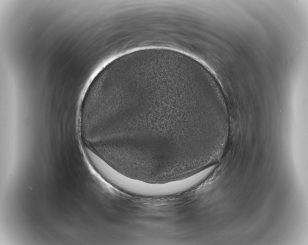 X0000087061527200705021206