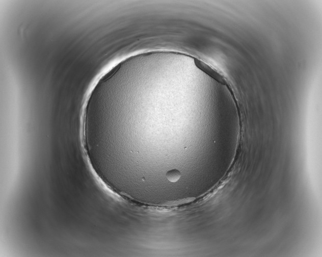 X0000087061528200705021206