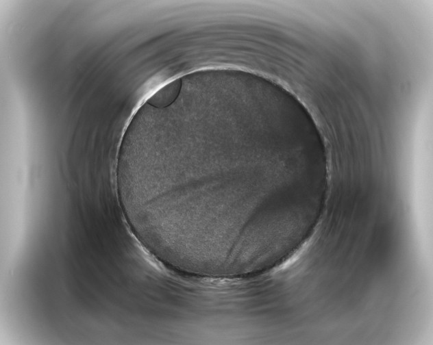 X0000087061529200705021206