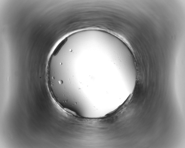 X0000087061532200705021206