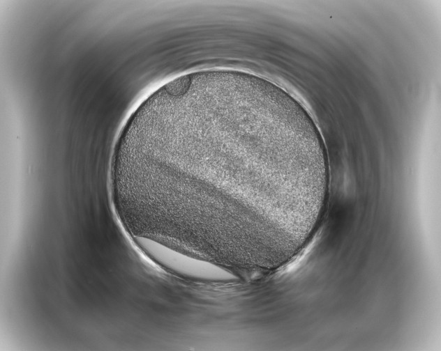 X0000087061533200705021206