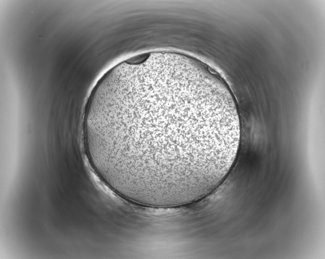 X0000087061534200705021206