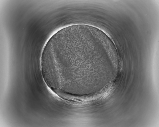 X0000087061535200705021206