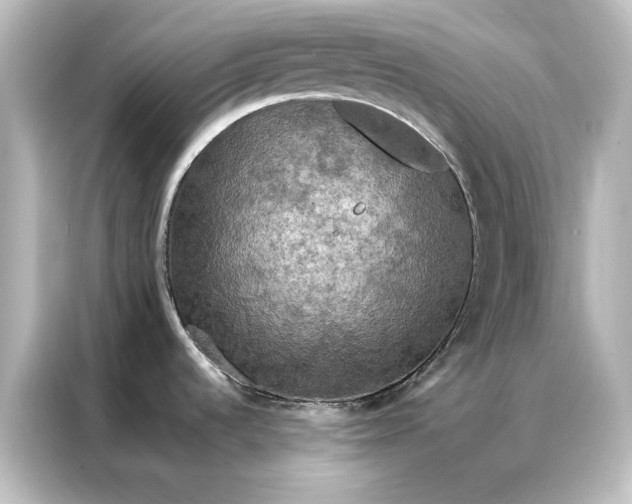 X0000087061536200705021206