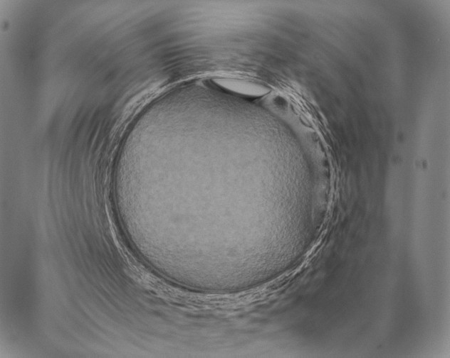 X0000087060001200705091212