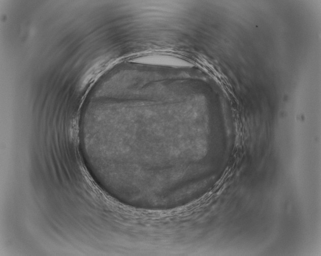 X0000087060002200705091212