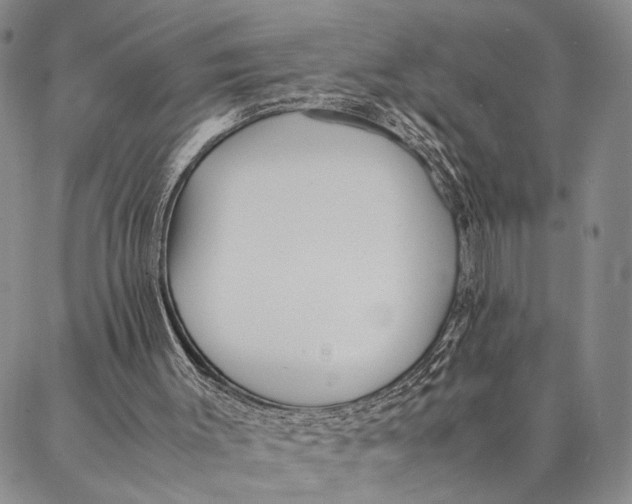 X0000087060003200705091212