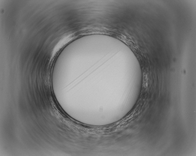 X0000087060004200705091212