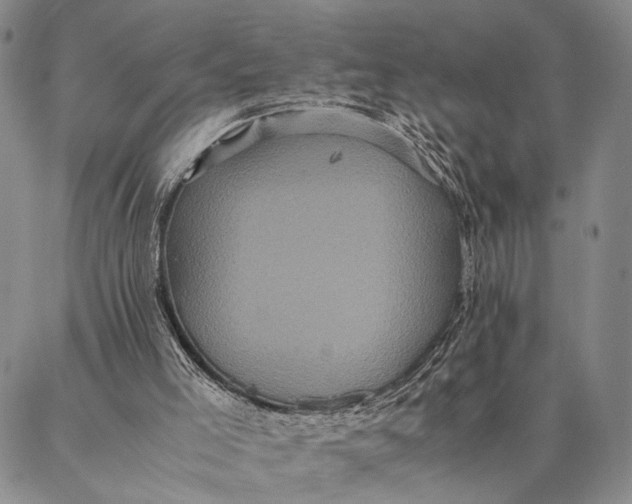 X0000087060005200705091212