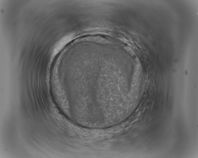 X0000087060006200705091212