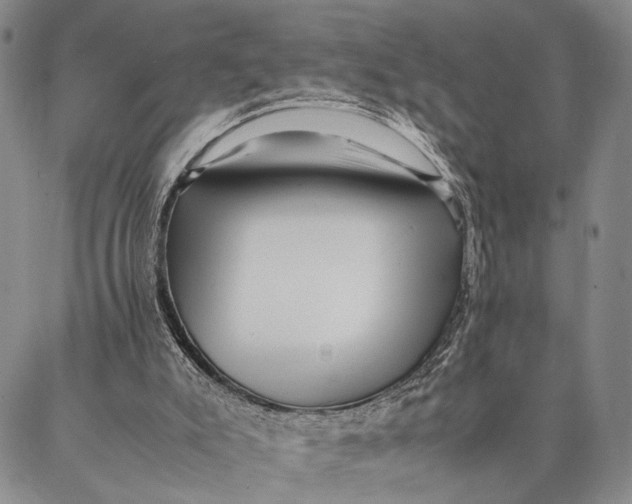 X0000087060007200705091212