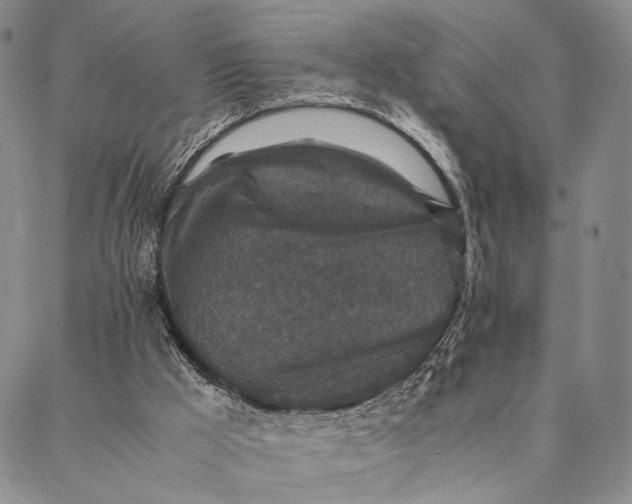 X0000087060009200705091212