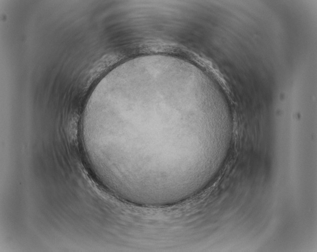 X0000087060010200705091212