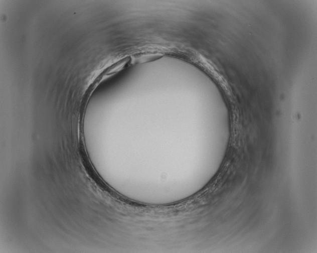 X0000087060011200705091212