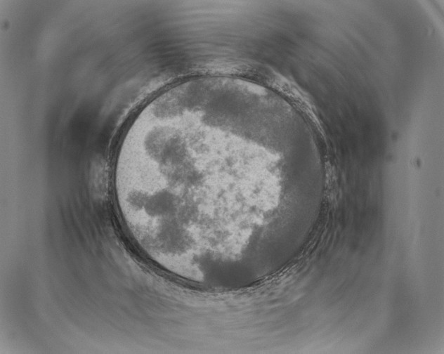 X0000087060012200705091212