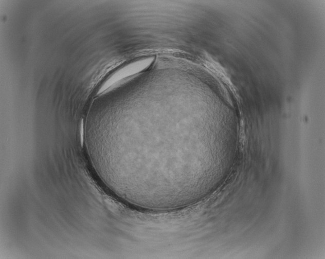 X0000087060013200705091212