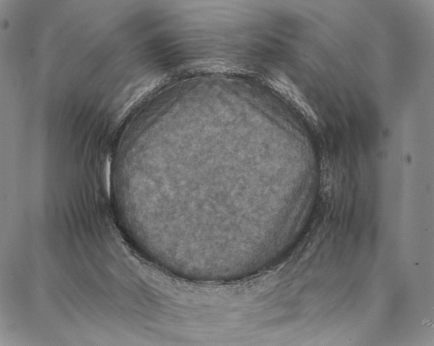 X0000087060014200705091212