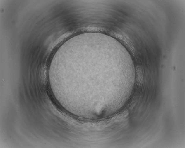 X0000087060016200705091212