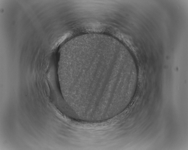 X0000087060017200705091212