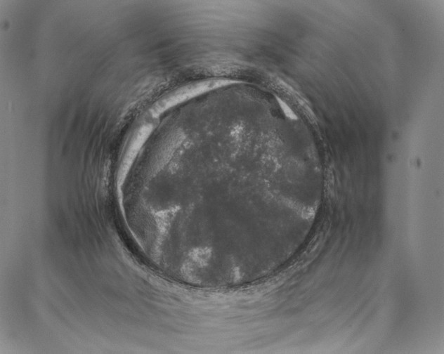 X0000087060018200705091212