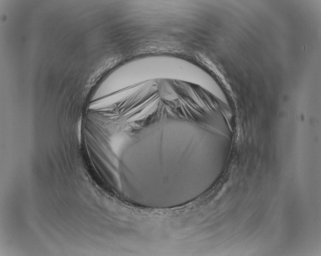 X0000087060019200705091212