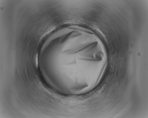 X0000087060020200705091212