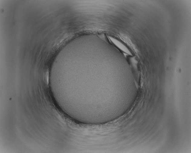 X0000087060021200705091212