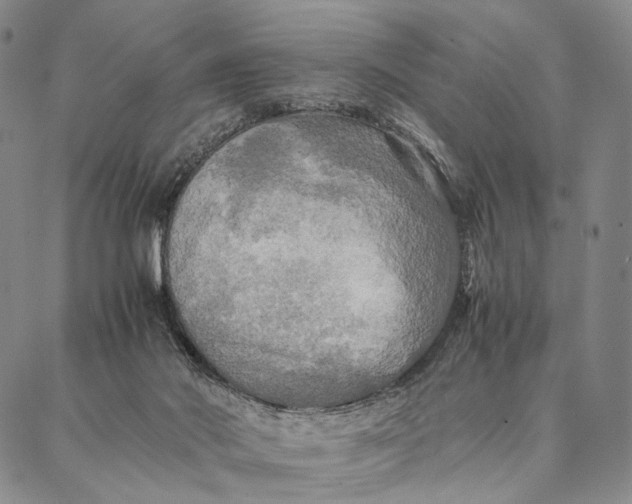 X0000087060022200705091212