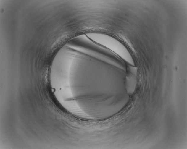 X0000087060023200705091212