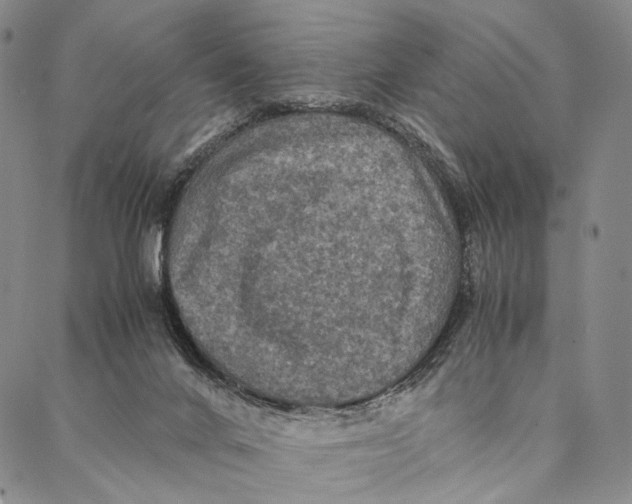 X0000087060024200705091212