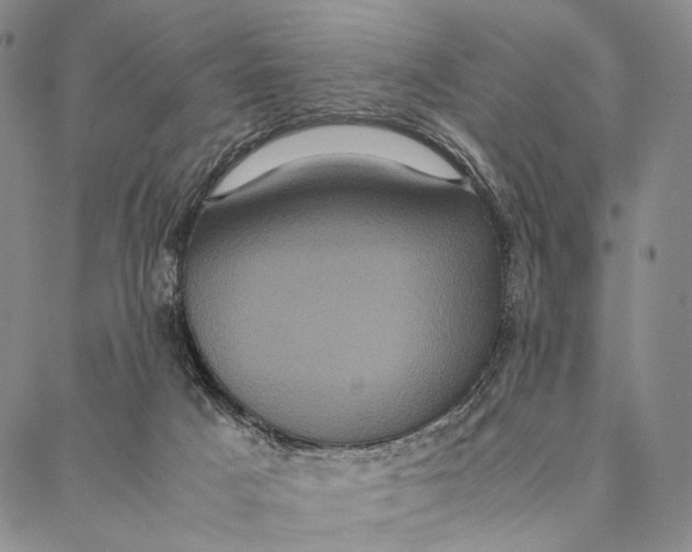 X0000087060025200705091212