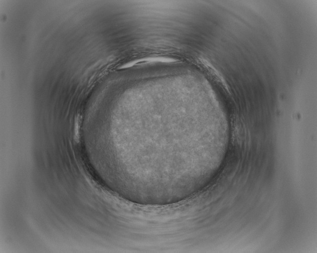 X0000087060026200705091212