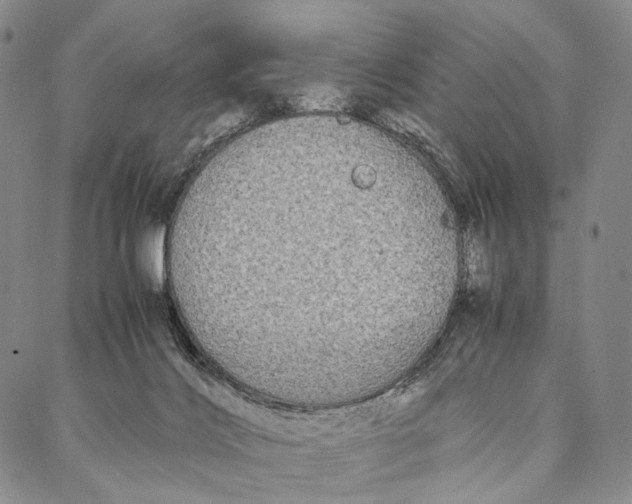 X0000087060028200705091212