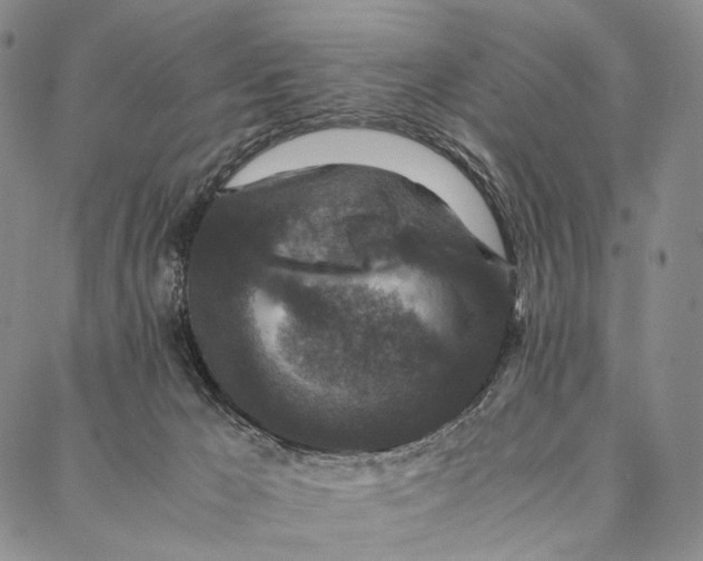 X0000087060029200705091212