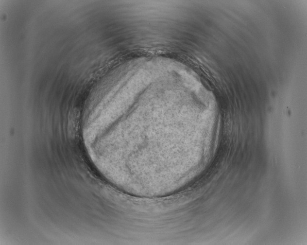 X0000087060030200705091212