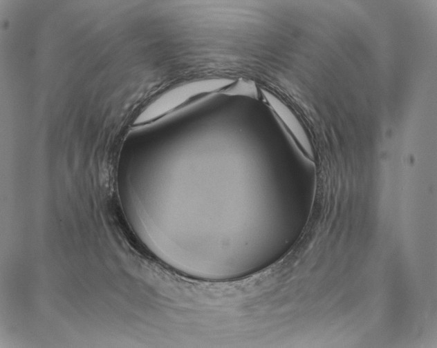 X0000087060031200705091211