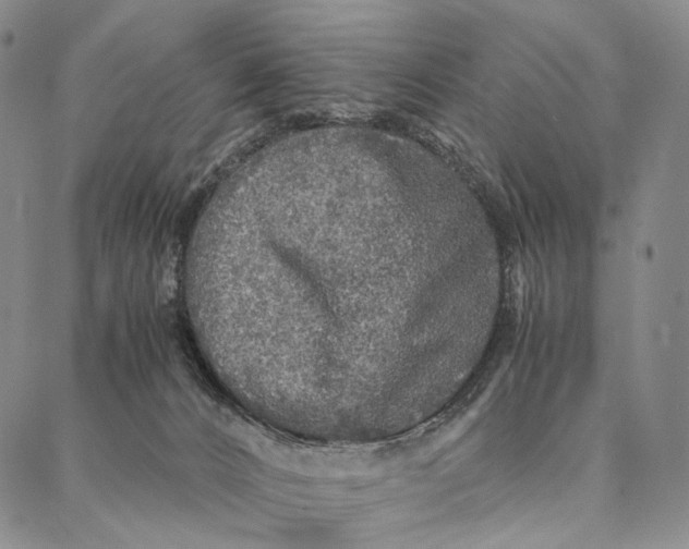 X0000087060032200705091211