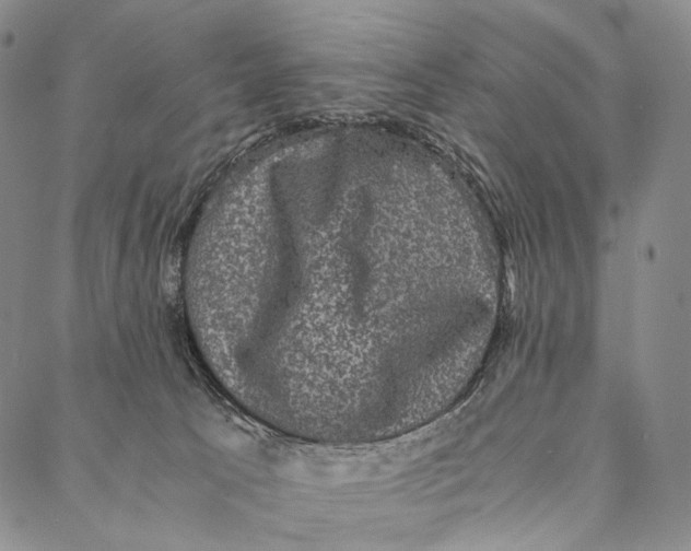 X0000087060033200705091211