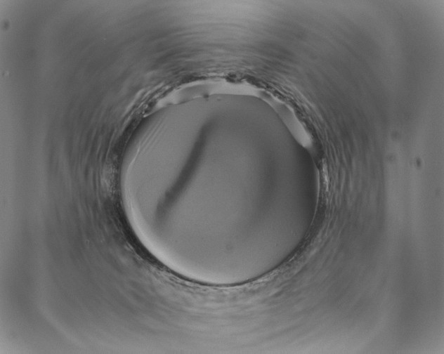 X0000087060035200705091211